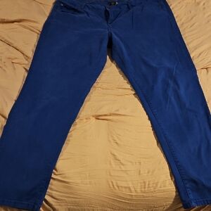 Apt. 9 Indigo Skinny Leg Pants